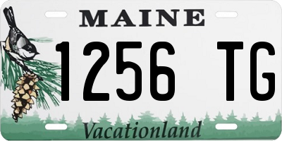 ME license plate 1256TG