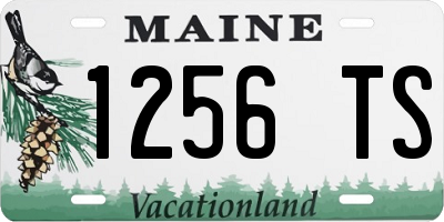 ME license plate 1256TS