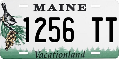 ME license plate 1256TT