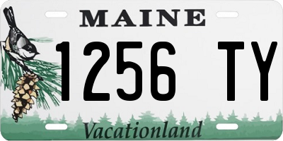 ME license plate 1256TY