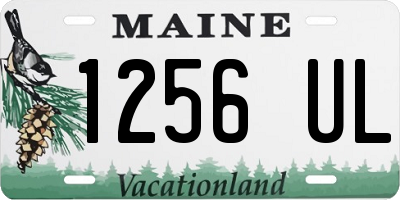 ME license plate 1256UL