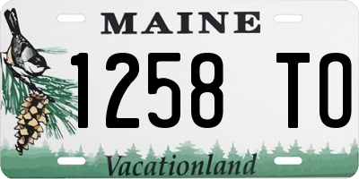 ME license plate 1258TO