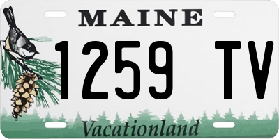 ME license plate 1259TV