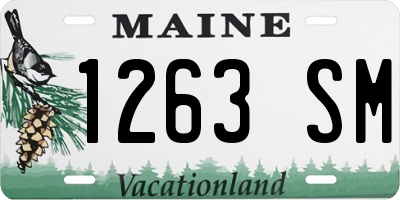 ME license plate 1263SM