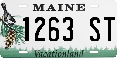 ME license plate 1263ST