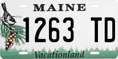 ME license plate 1263TD