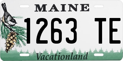 ME license plate 1263TE