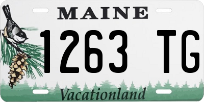 ME license plate 1263TG