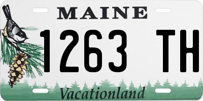 ME license plate 1263TH
