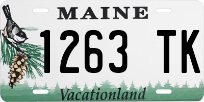 ME license plate 1263TK