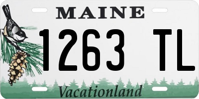 ME license plate 1263TL