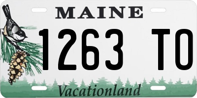 ME license plate 1263TO