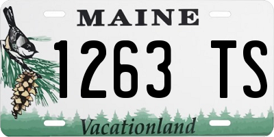 ME license plate 1263TS