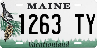 ME license plate 1263TY