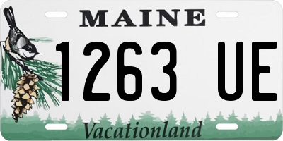 ME license plate 1263UE