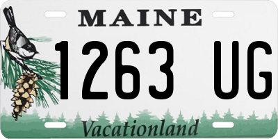 ME license plate 1263UG