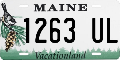 ME license plate 1263UL