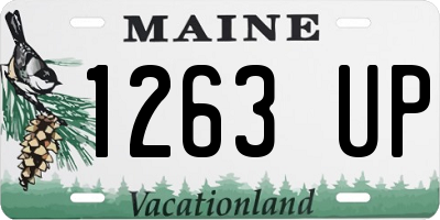 ME license plate 1263UP