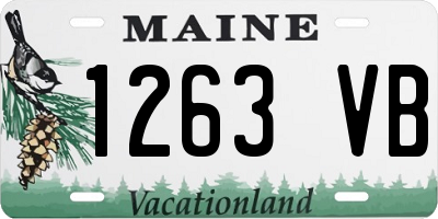 ME license plate 1263VB