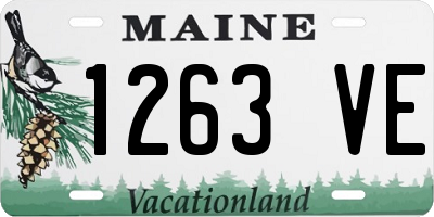 ME license plate 1263VE
