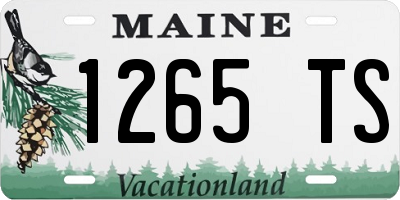ME license plate 1265TS