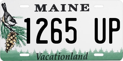 ME license plate 1265UP
