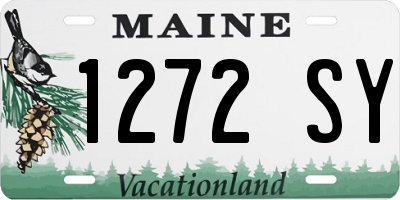 ME license plate 1272SY