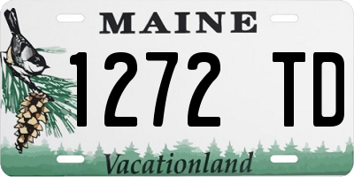 ME license plate 1272TD