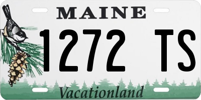 ME license plate 1272TS