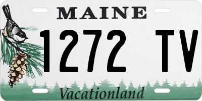ME license plate 1272TV