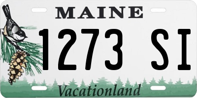 ME license plate 1273SI