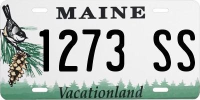 ME license plate 1273SS