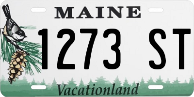 ME license plate 1273ST