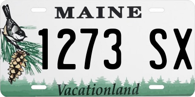 ME license plate 1273SX