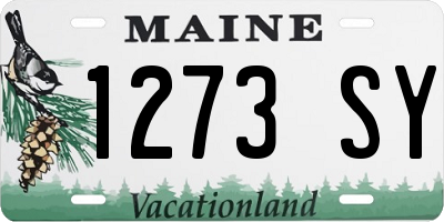 ME license plate 1273SY