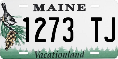 ME license plate 1273TJ