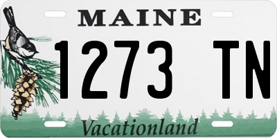 ME license plate 1273TN