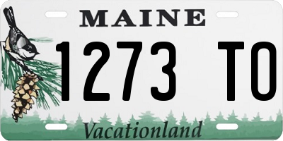 ME license plate 1273TO