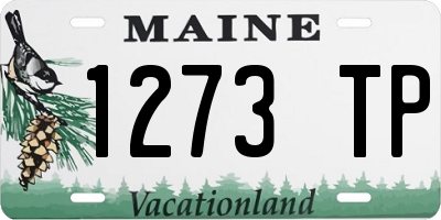 ME license plate 1273TP