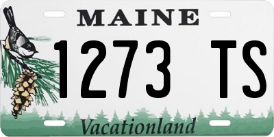 ME license plate 1273TS