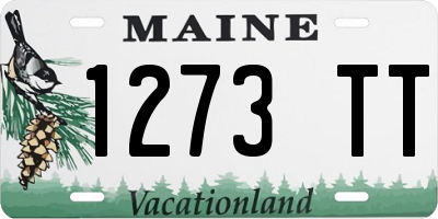 ME license plate 1273TT