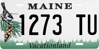 ME license plate 1273TU