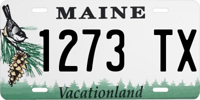 ME license plate 1273TX