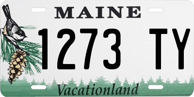 ME license plate 1273TY
