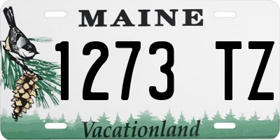ME license plate 1273TZ
