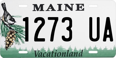 ME license plate 1273UA
