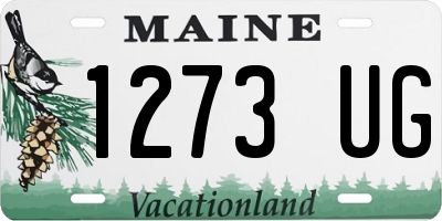 ME license plate 1273UG