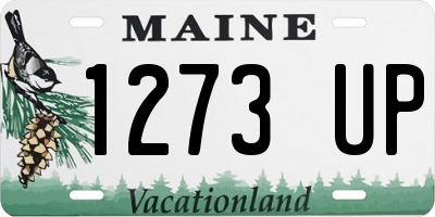 ME license plate 1273UP