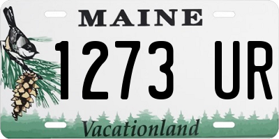 ME license plate 1273UR