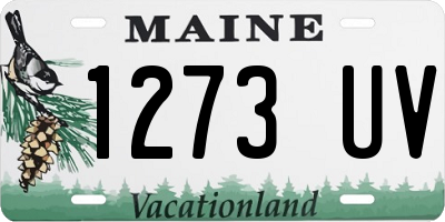 ME license plate 1273UV